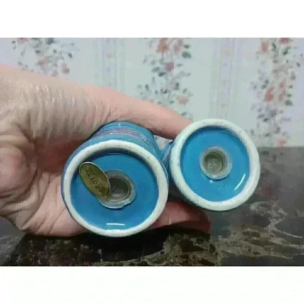 Vintage 1980s Kentucky Souvenir Salt and Pepper Shaker Set Collectors Item Decor